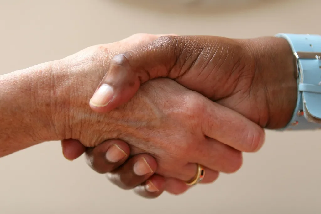 Discover the differences between executive coaching and mentoring